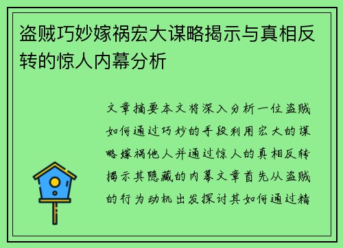 盗贼巧妙嫁祸宏大谋略揭示与真相反转的惊人内幕分析